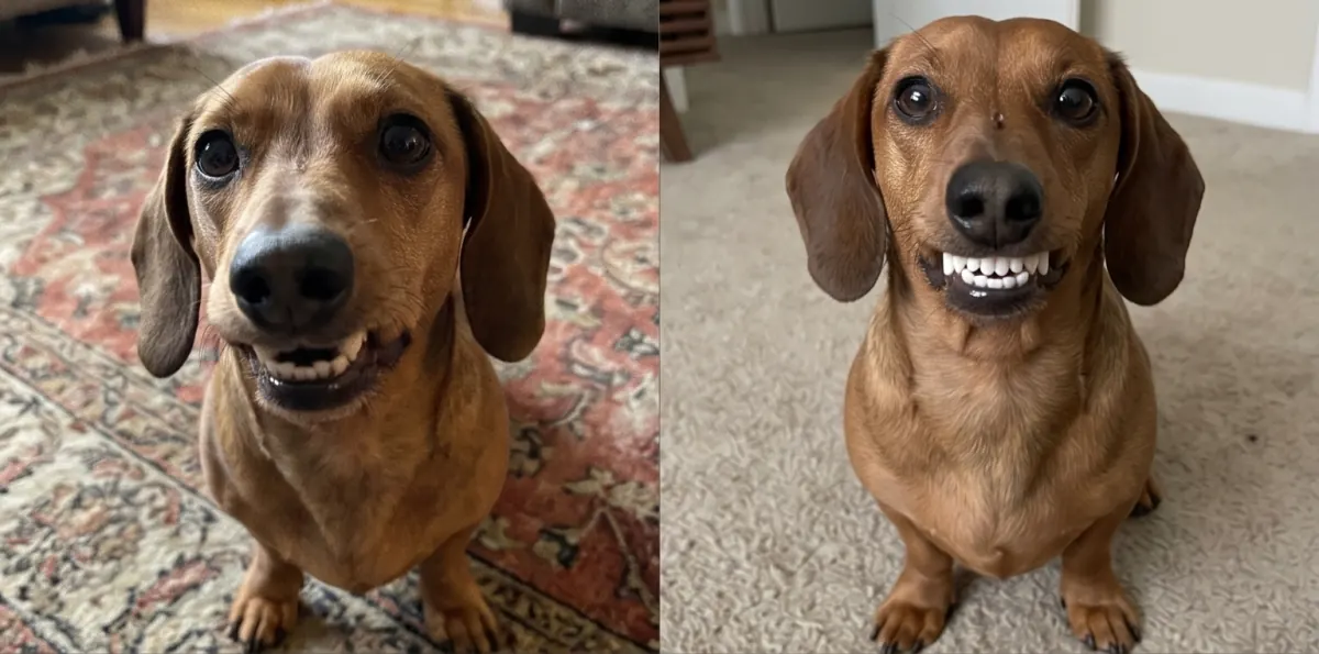 Antes y después — Luna — Chihuahua